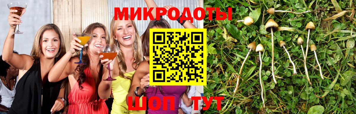 Луга  Псилоцибиновые грибы Psilocybe  Вход с VPN 